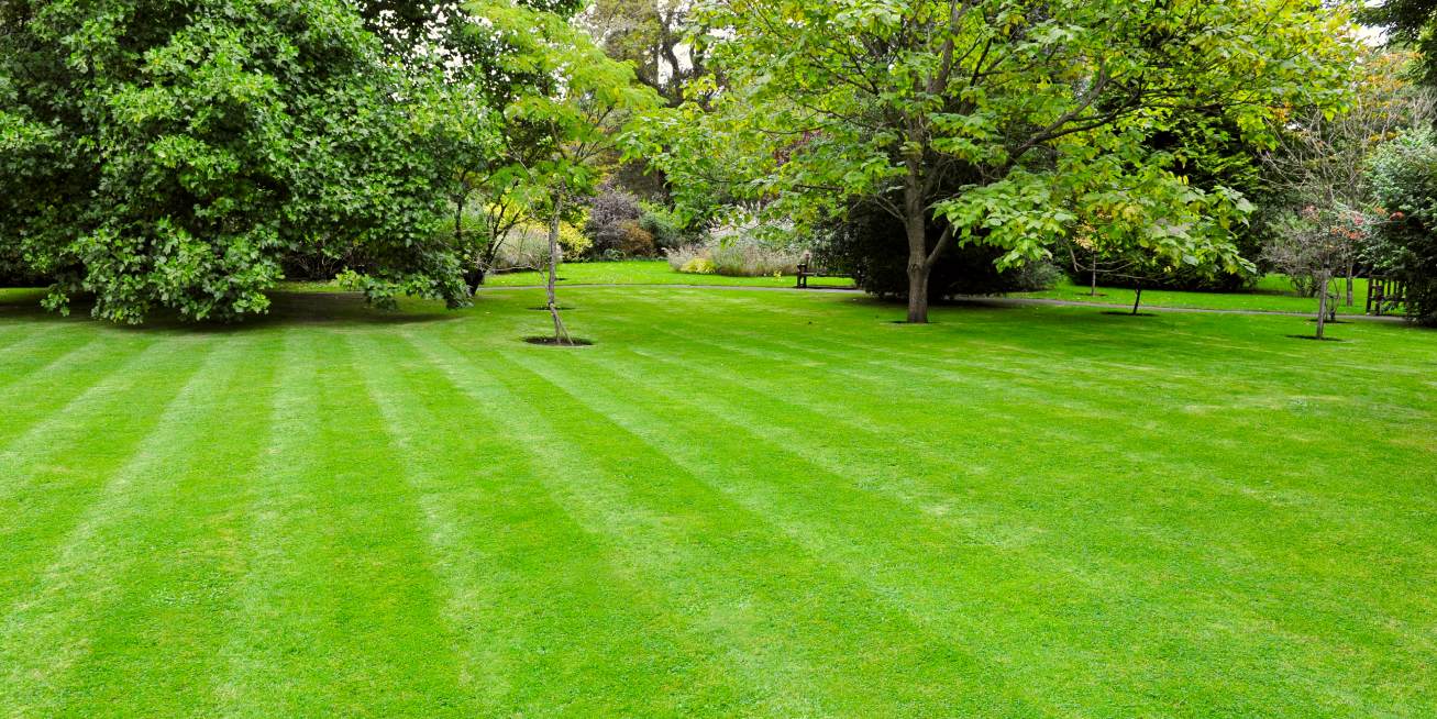 Image 30 Garden with a Large Open Green Grass Lawn northport al