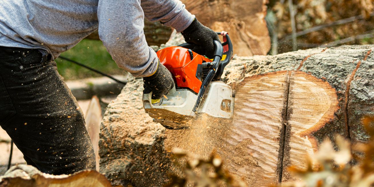 Landscaper using a chainsaw to slice up large tree trunks northport al