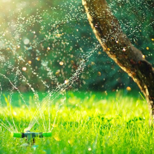 Smart garden activated with full automatic sprinkler irrigation in northport al