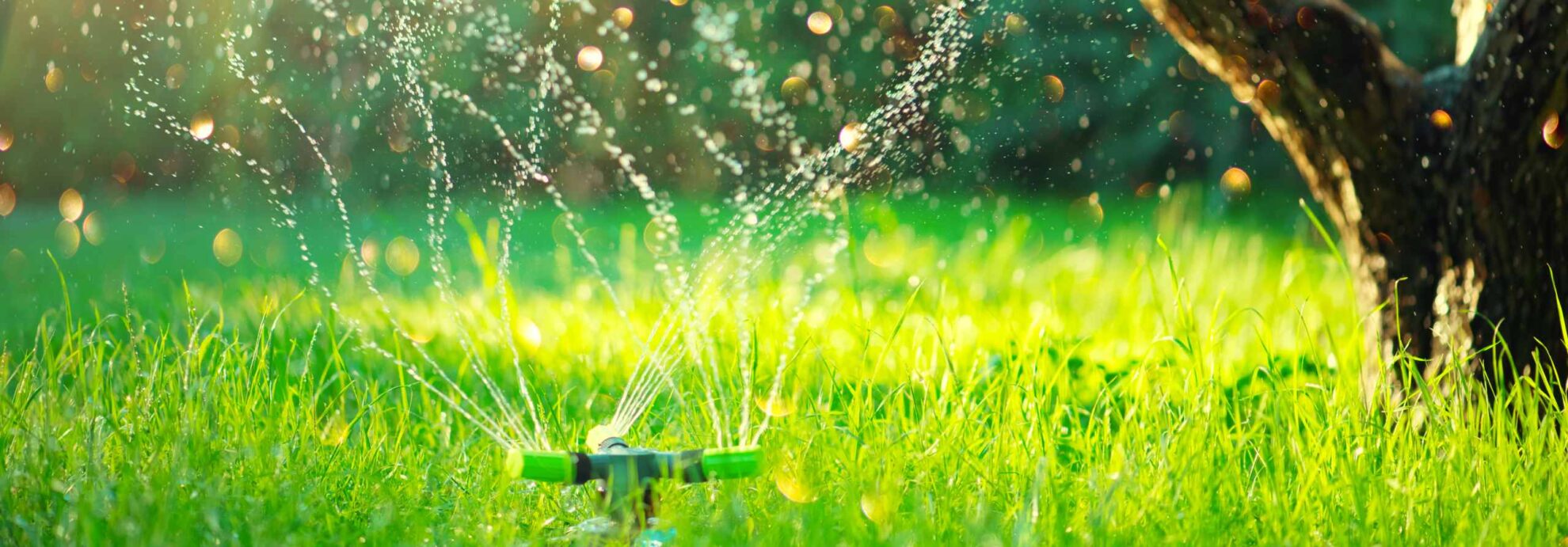 Smart garden activated with full automatic sprinkler irrigation northport al