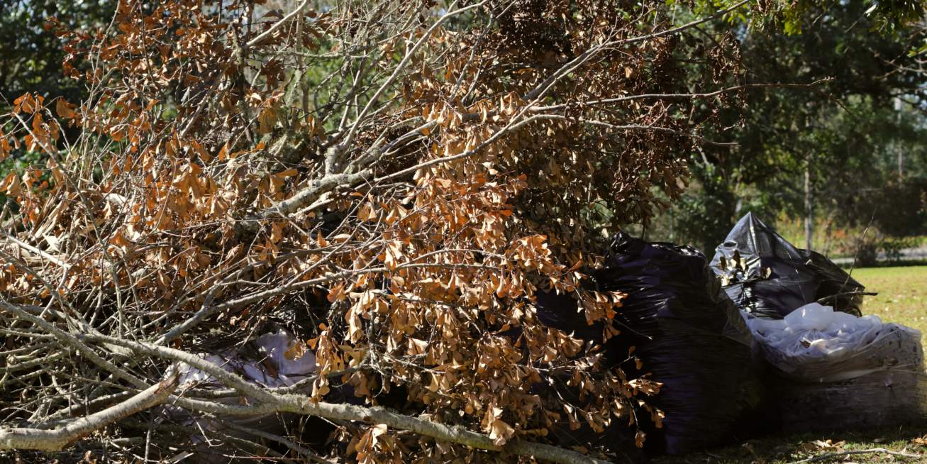 YARD AFTER HURRICANE northport al