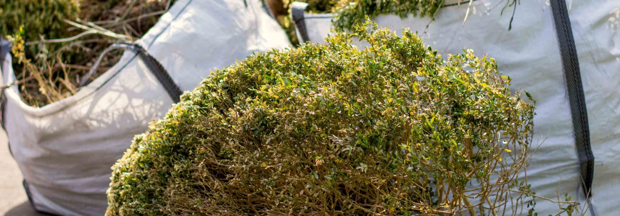 green garden waste after gardening northport al